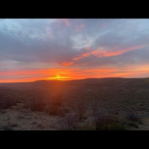 Meet your Posher, Adam